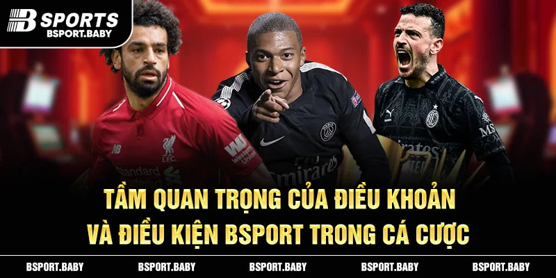 Tầm quan trọng của điều khoản và điều kiện Bsport trong cá cược